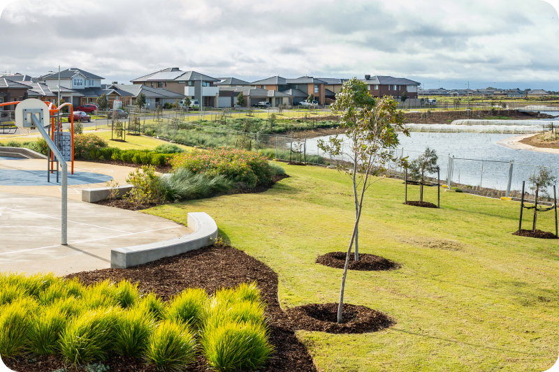 Community and product insights